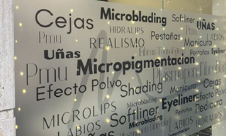 Image 2: Sesión de microblading o micropigmentación en cejas, eyeliner o labios