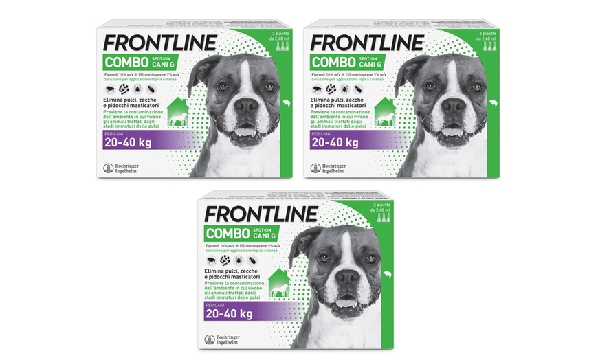 Image 12: Fino a 9 pipette Frontline Combo Spot-On per cani