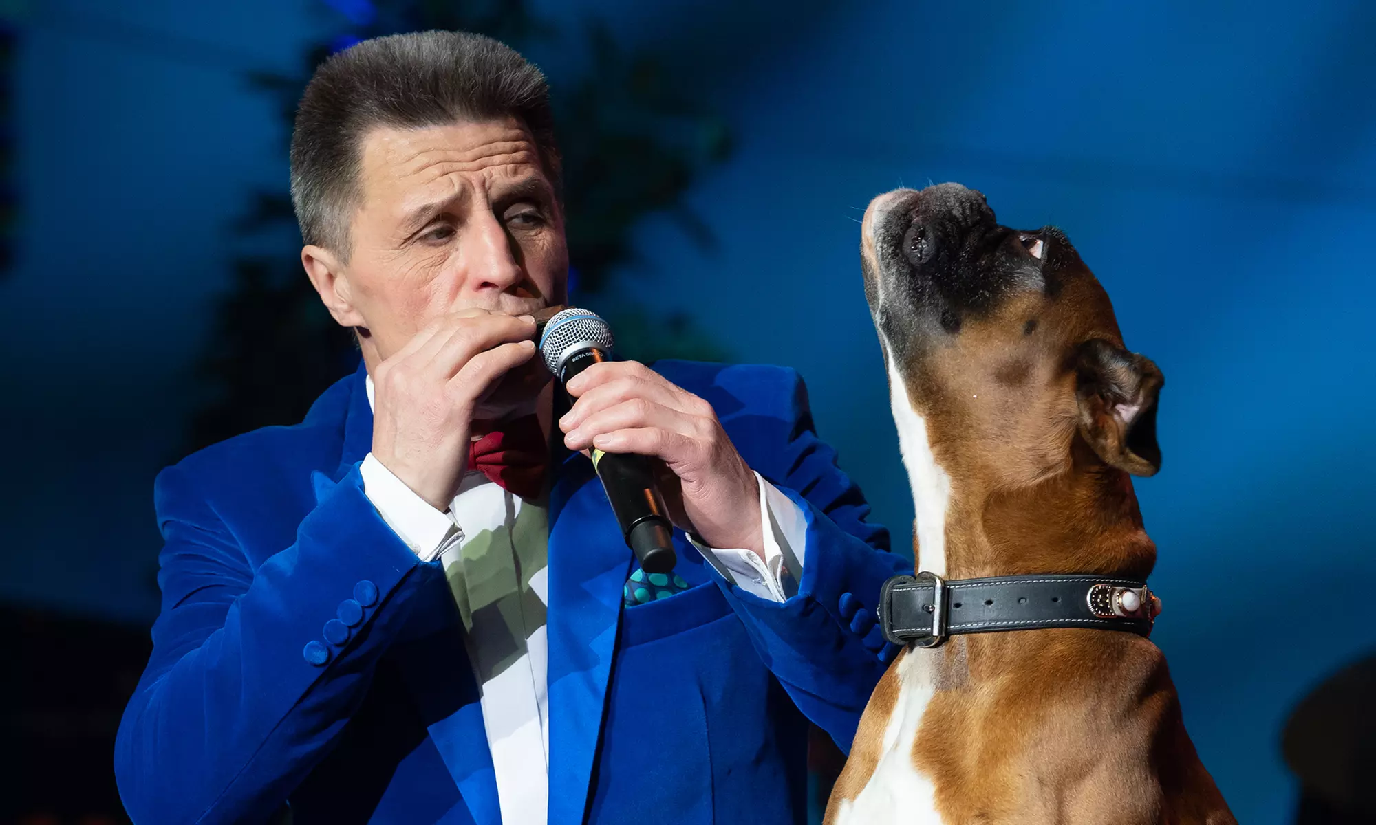 Kölner Weihnachtscircus: 1 Ticket vom 28.11.2025 bis 30.12.2025