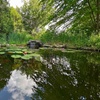 Image 6: General Admission to 40-Acre Arboretum & Botanic Gardens in Waterloo