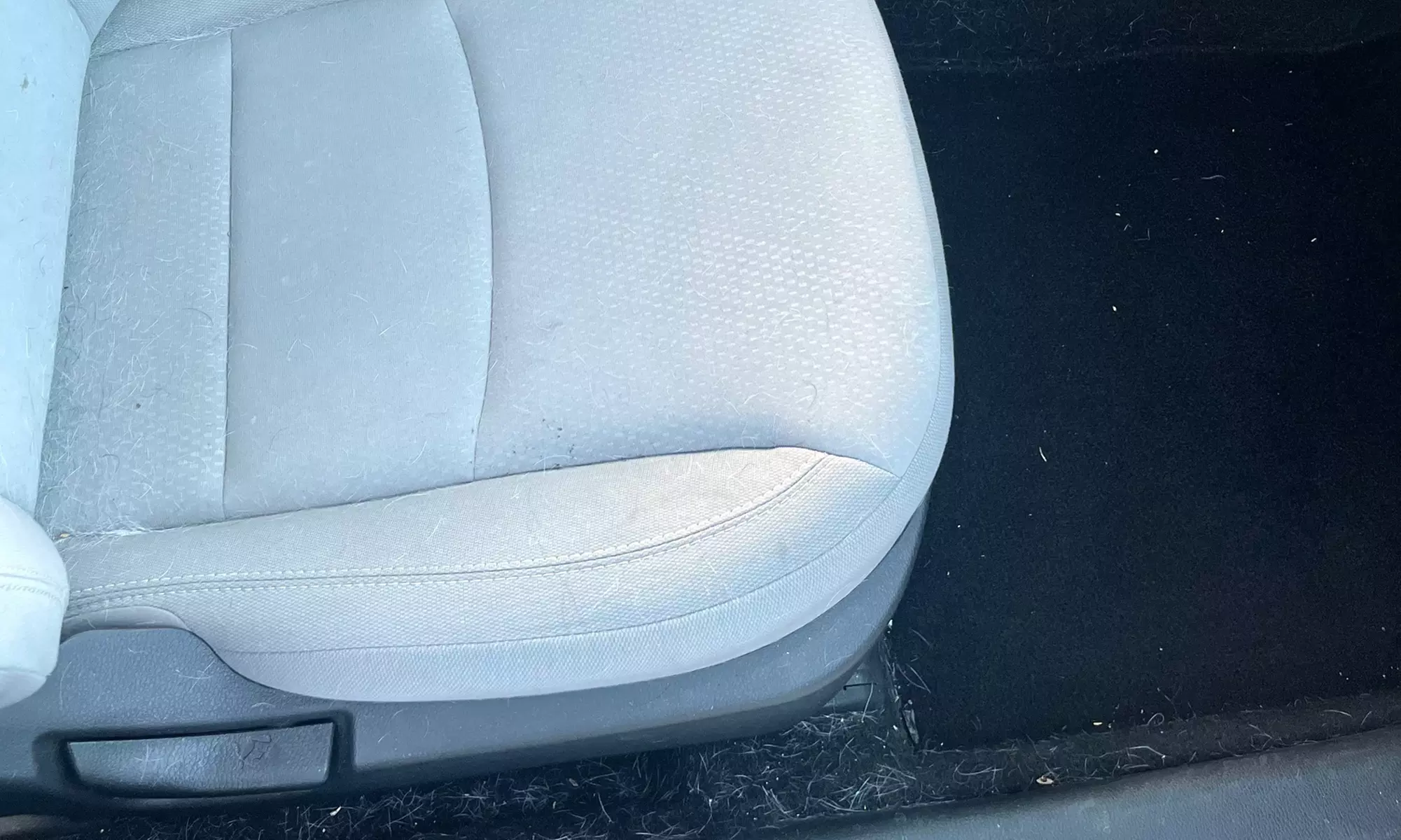 Exterior and Interior Detail for a Car/Sedan/Pickup/SUV or Minivan