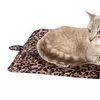 Leopard Brown