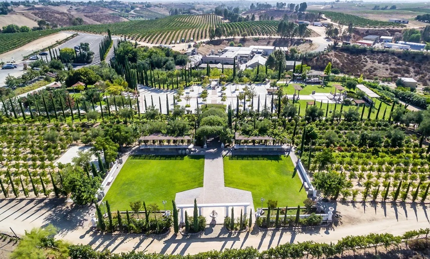 Image 2: Wine Cave Tasting Experience with Scenic Vineyard Views