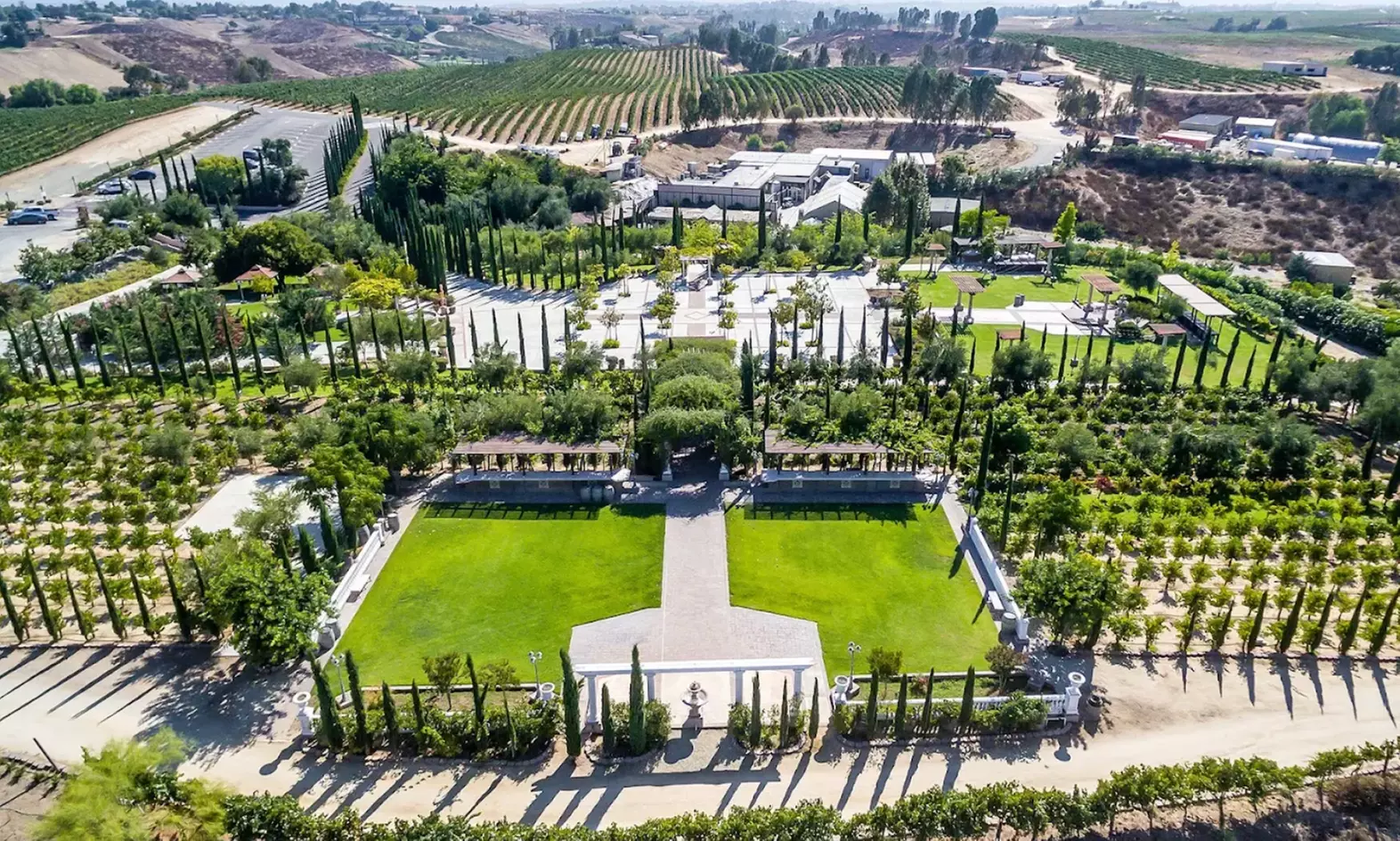 Wine Cave Tasting Experience with Scenic Vineyard Views