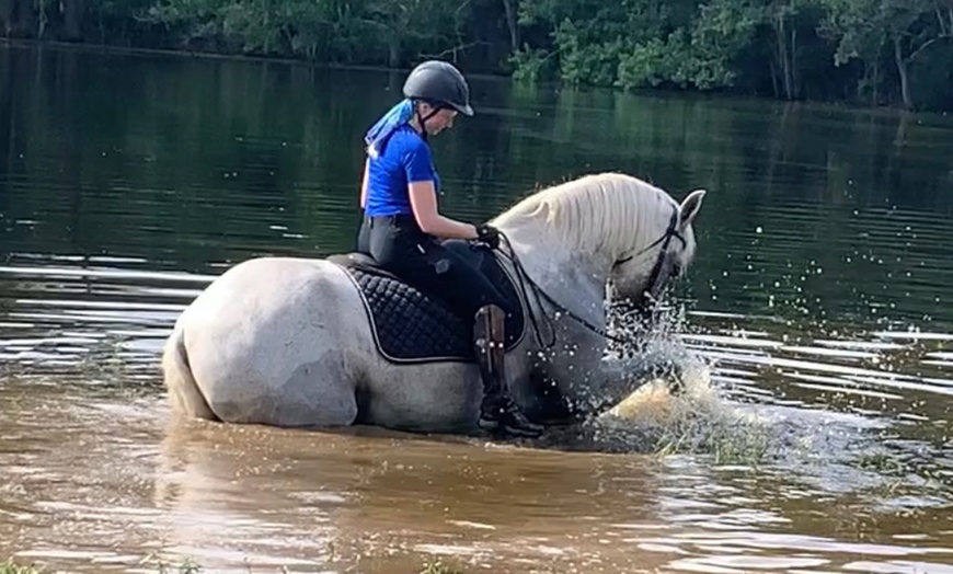 Image 3: Up to 20% Off on Summer Camp at Sneak Away Riding Club
