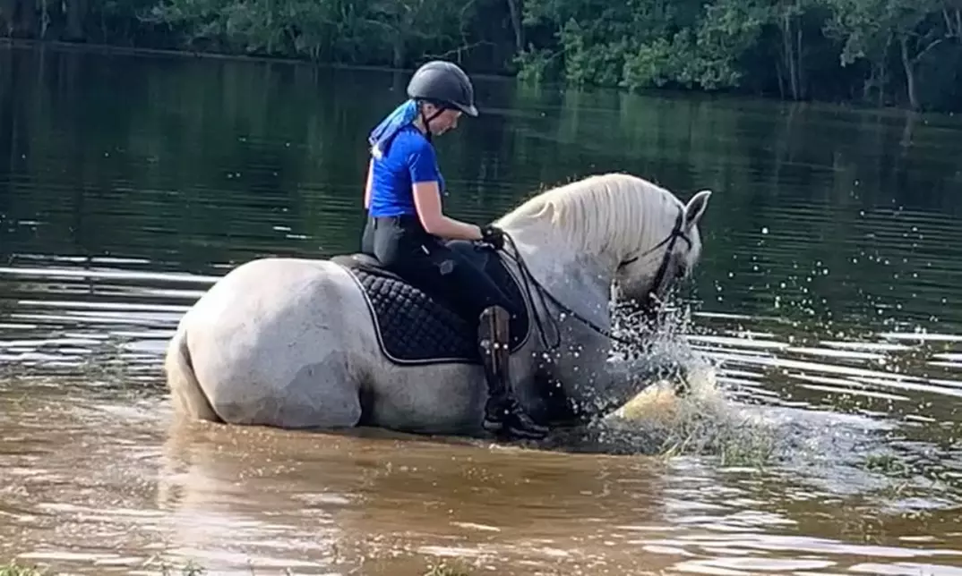 Dive Into Fun: Youth Summer Hearts and Hoofs Horse Camp Registration