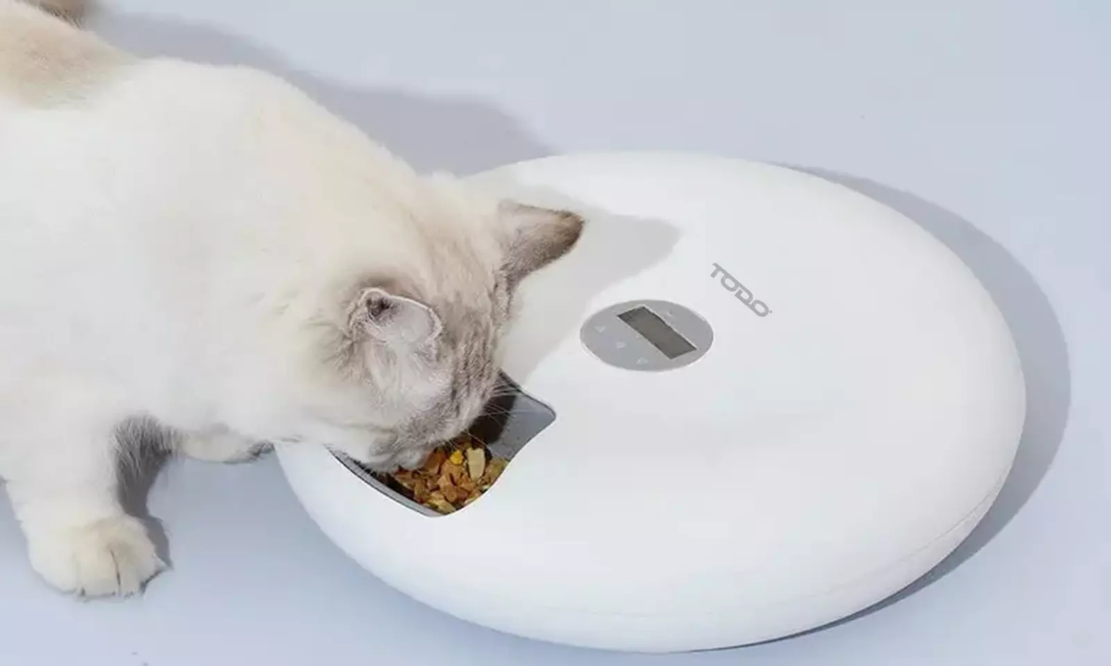 Programmable Six-Meal Automatic Pet Feeder with LCD Display & USB Power for Cats & Dogs (Up To 45% Off) - Primary Image