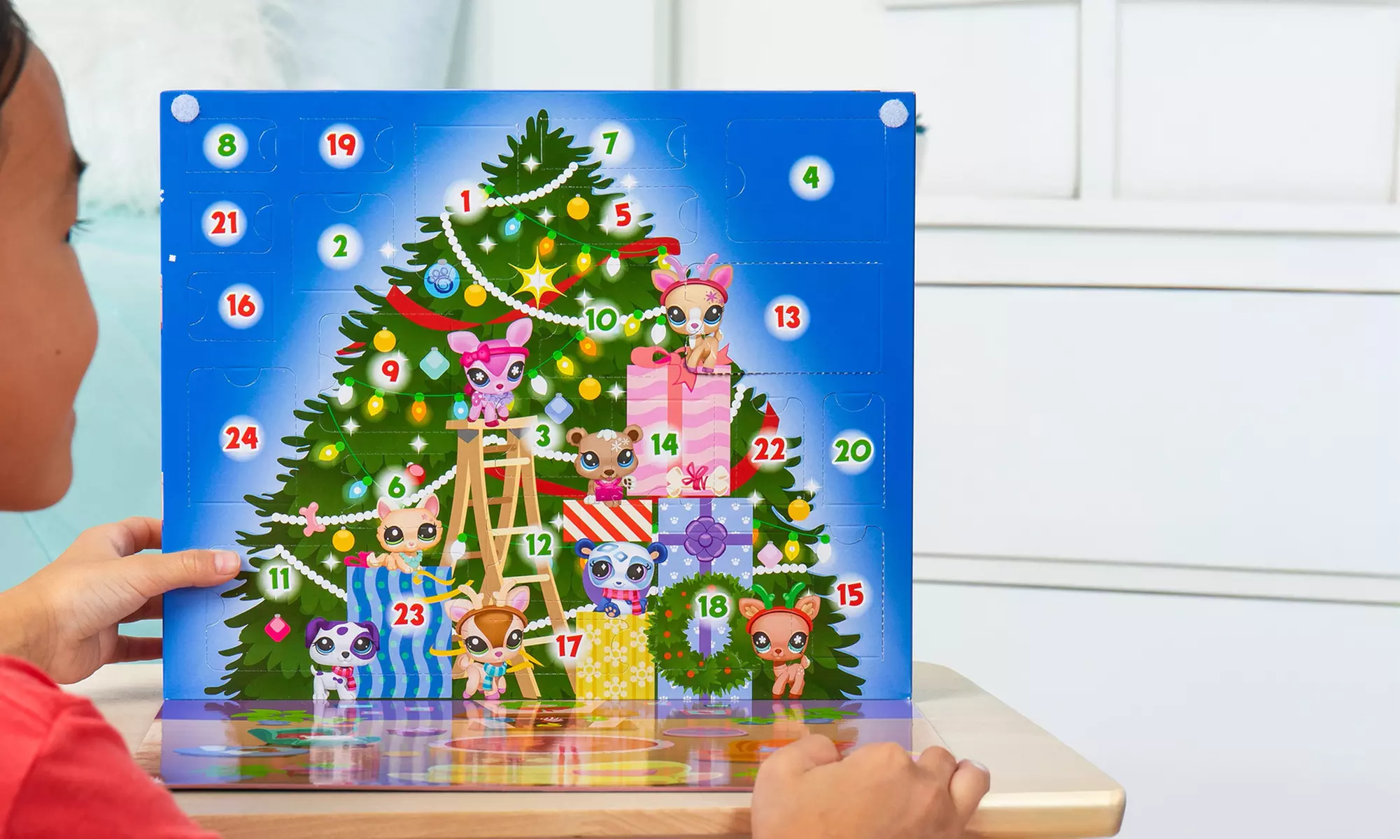 24-Day Christmas Pet Advent Calendar