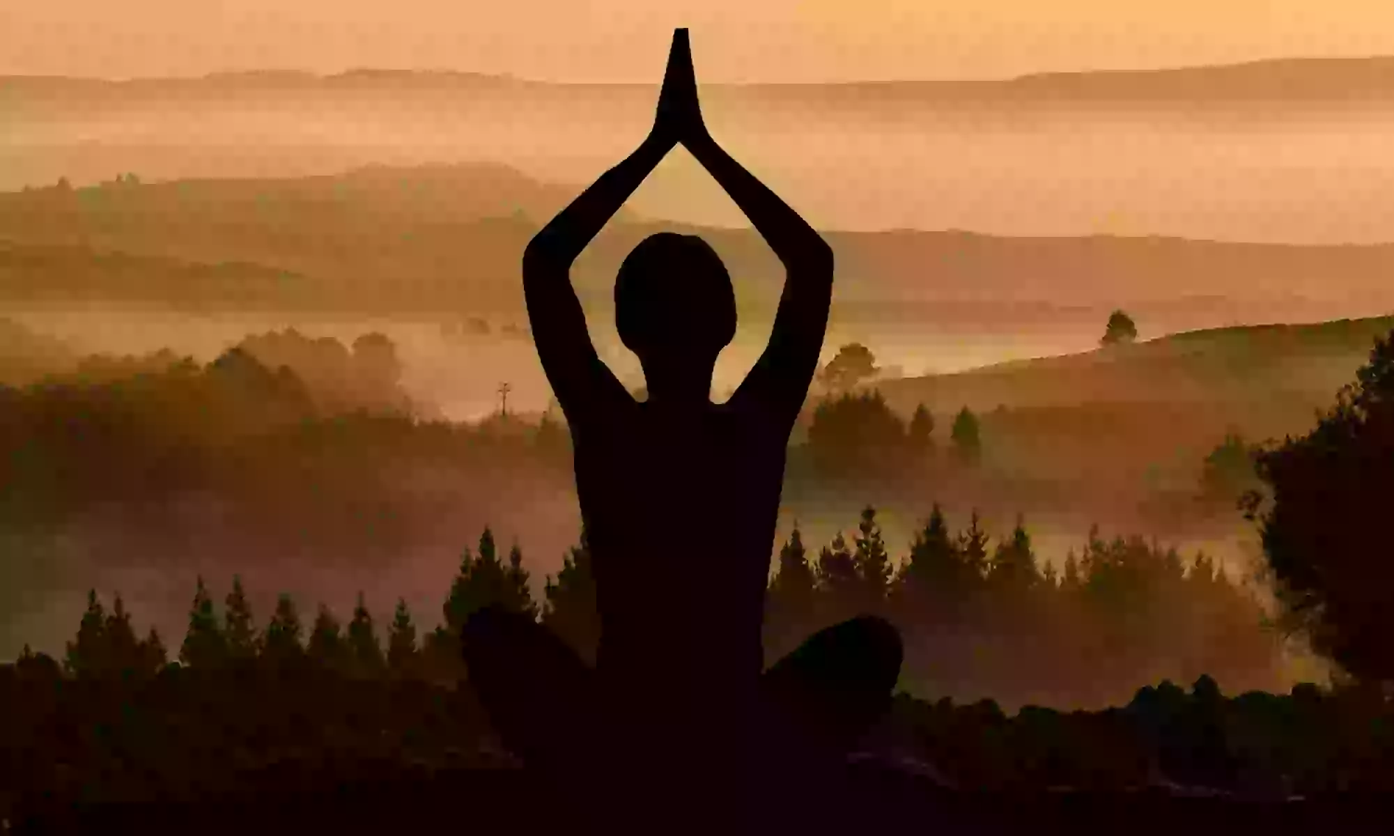Formation aux étirements des méridiens ''Les étirements Makko Ho''