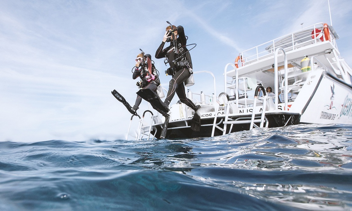 PADI Boat Diving Specialty – Get Certified to Dive from Boats