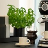 Image 1: Home Deluxe espressomachine 