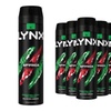 Image 8: Six Pack of Lynx Anti-Perspirants 200ml