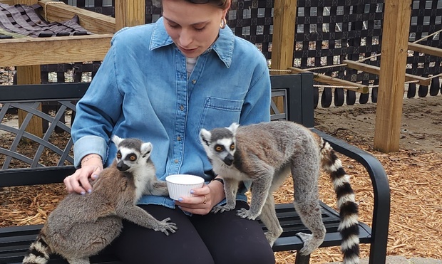 What to expect media