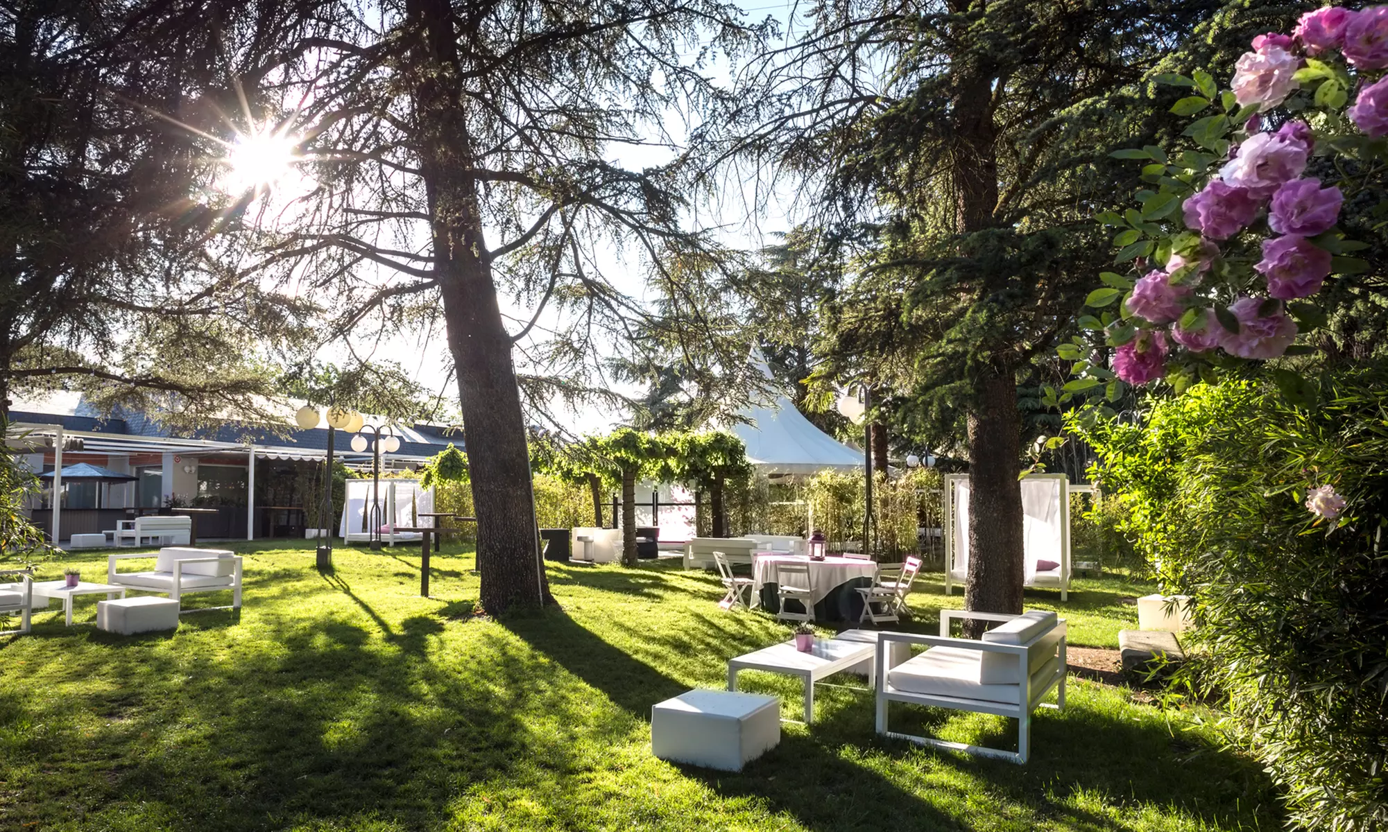 Experiencia gastronómica en la naturaleza en Restaurante San Francisco