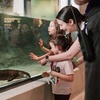 Image 3: Explore at Da Vinci Science Center with General Admission
