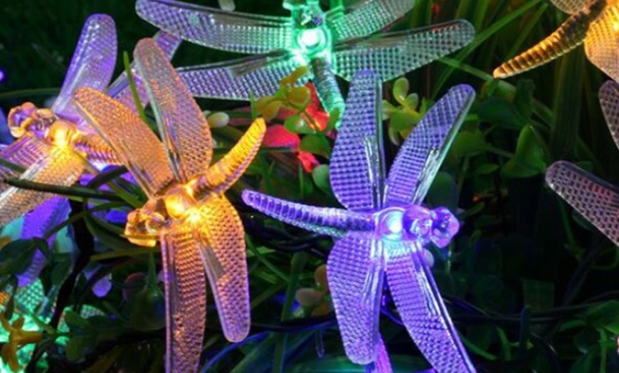 Image 8: Solar-Powered String Lights