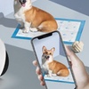 Image 5: Smart Pet Camera and food dispenser