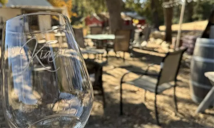 Enjoy Barrel Tasting and Winery Tour for Two, Four or Six