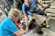 Glassblowing: 5-Week Beginner Class or 3-Hour Workshop and More at Janke Glassblowing Studio (Up to 26% Off) - Second Medium