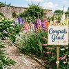 Image 3: Graduation Flower Bulb Collections