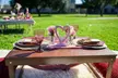 Enjoy a Valentine's Picnic at Be In Company for 2 -Styled Setup & Decor w/ Optional Charcuterie (Up to 20% Off) - Second Medium