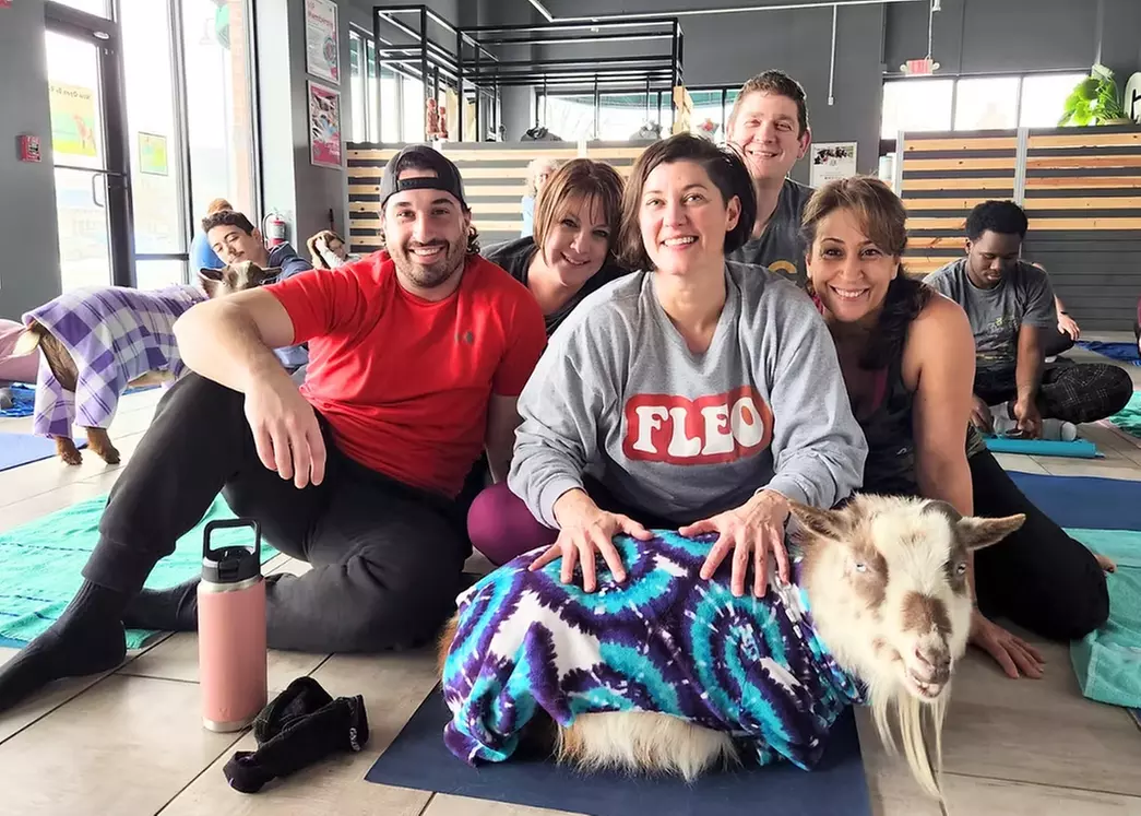 Unique Goat Yoga, Farm Experiences & Fitness Classes in Chicagoland

