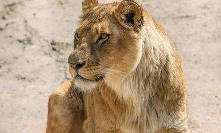 1 entrée enfant (de 3 à 11 ans) au Zoo du bois d'Attilly