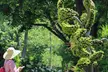 Admission to Atlanta Botanical Garden, the Largest Botanical Garden in the Southeast, Weekday + Weekends (Up to 31% Off) - Second Medium