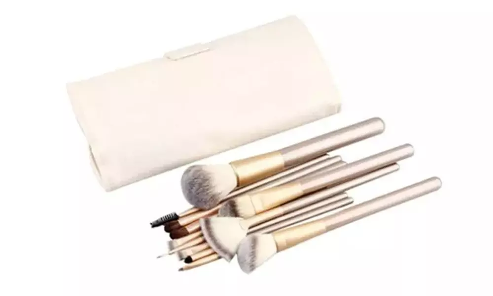 FREE SHIPPING: 13-Piece Professional Make-Up Brush Set with a Storage Case - 1 or 2 (Up To 52% Off) - Second Medium