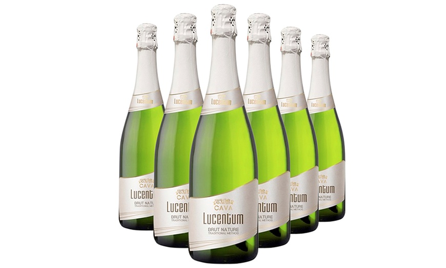 Image 2: Spumante Cava Lucentum Brut Nature