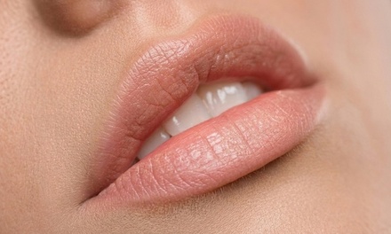 Lip Consultation (15 minutes) - Endlessfix Beauty Bar