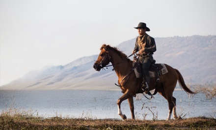 Horse Back Riding - Recreational - Compete High