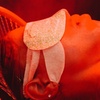 Image 4: Luxurious 60/70-Min Head Spa Treatment w/ Massage on Neck & Scalp
