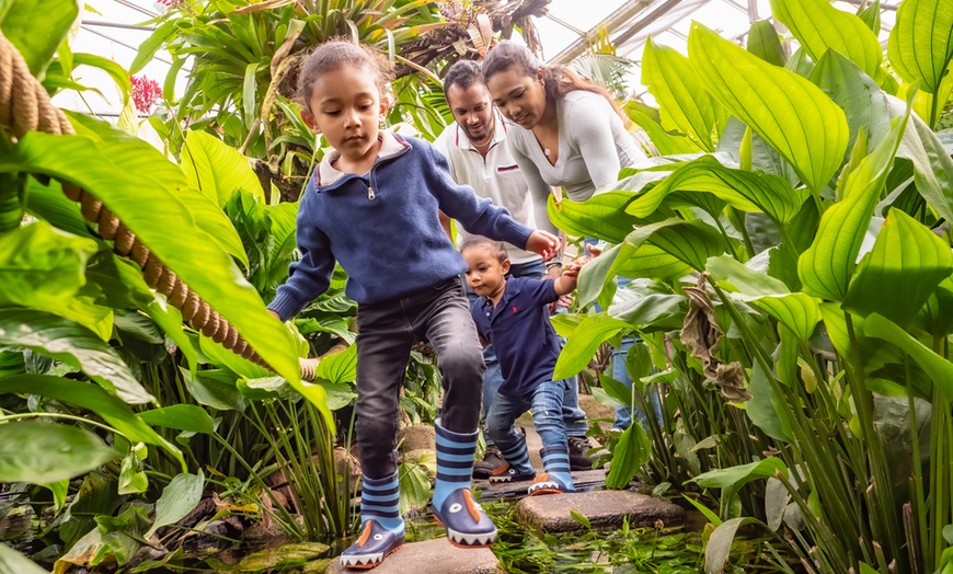 Image 1: Entreeticket Dierenpark Almere Jungle + hapje en drankje