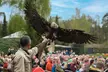 Saisonkarte Gold für 1 Person für den Weltvogelpark Walsrode (15% sparen) - Image 5
