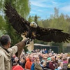Image 5: Saisonkarte Gold Weltvogelpark Walsrode
