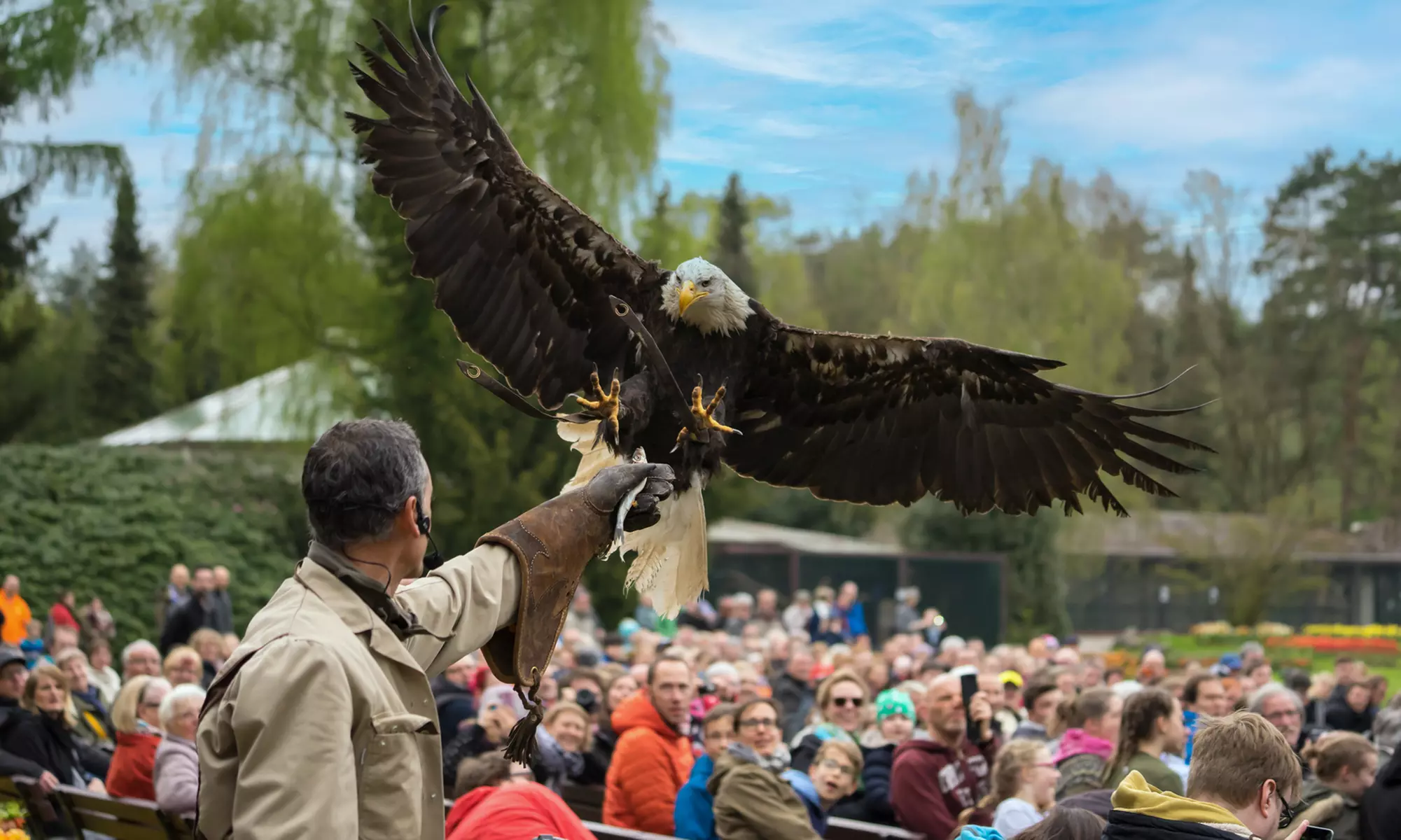 Saisonkarte Gold Weltvogelpark Walsrode