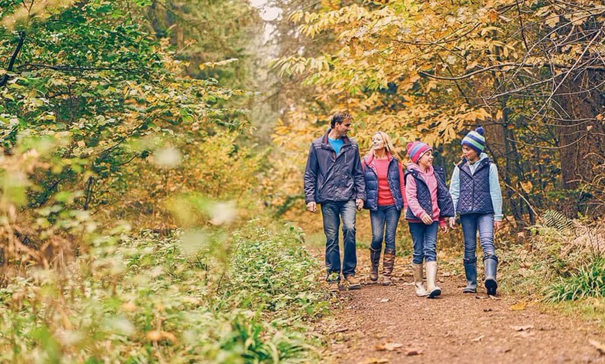 Image 6: Forest of Dean: Glamping Megapod for Four