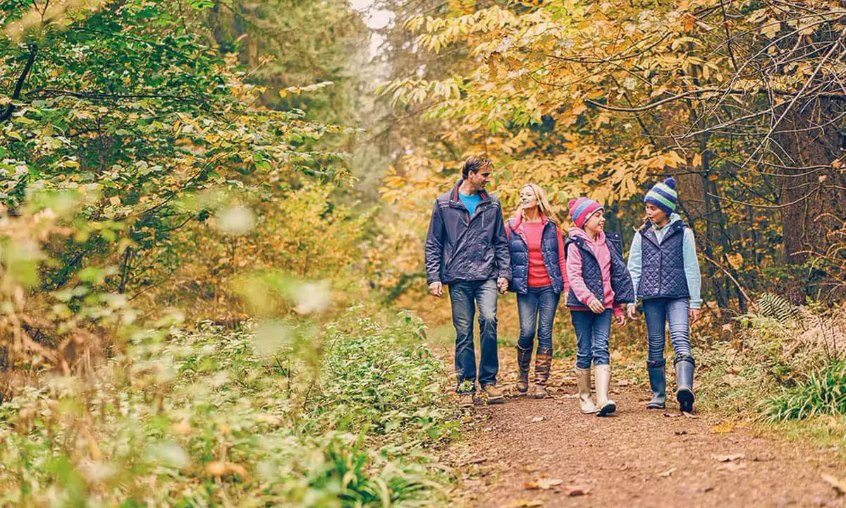 Forest of Dean: Glamping Megapod for Four