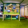 Image 9: Entry to Let Loose Play Centre for One Adult and Up To 4 Children! 