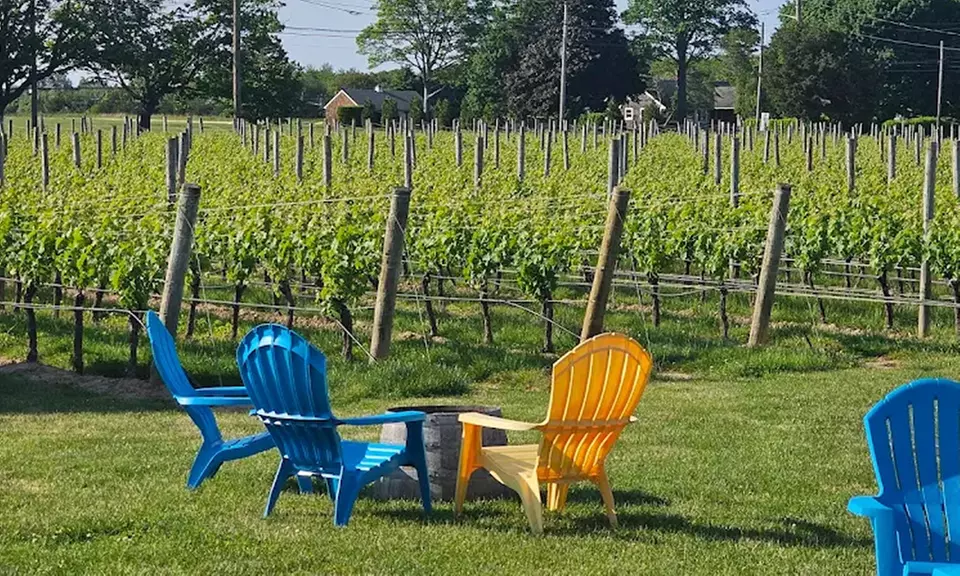 VIP Wine Tasting Experience w/ Cheese & Crackers, 2 or 4 Glass & More