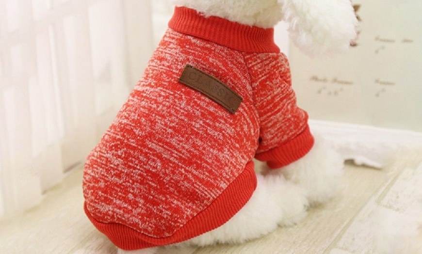 Image 1: Pet Jumper