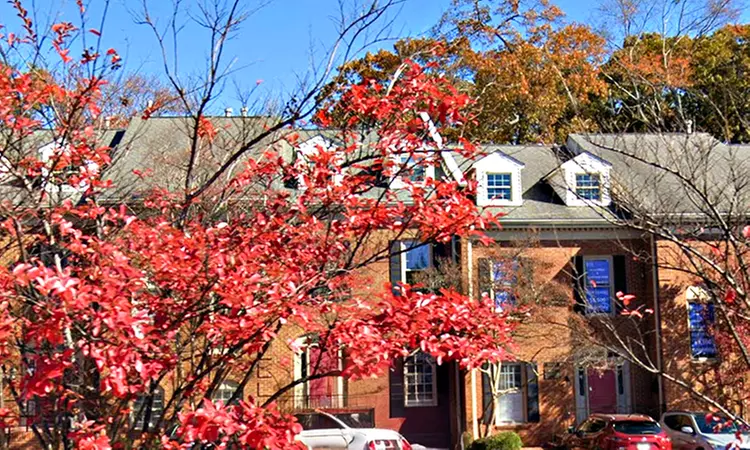 Kinky Twist Braids with Extensions - Shoulder Length