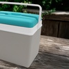 Image 15: Insulated Cooler Ice Box and Optional Ice Blocks 15L, 24L, 35L
