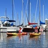 Image 4: OverWater Kayak Rentals on Mission Bay
