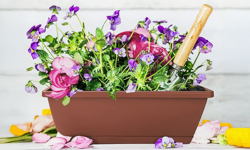 Image 7: Pack of Five Plastic Deep Garden Planters with Drainage Trays 