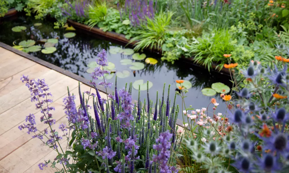 Adult Ticket to BBC Gardeners’ World |18-21 June 2026|Thurs,Fri/Sunday