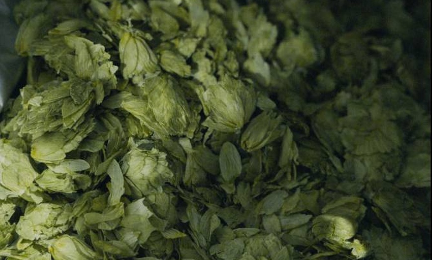 Image 21: Brewery Tour & Tasting at Award-Winning — 