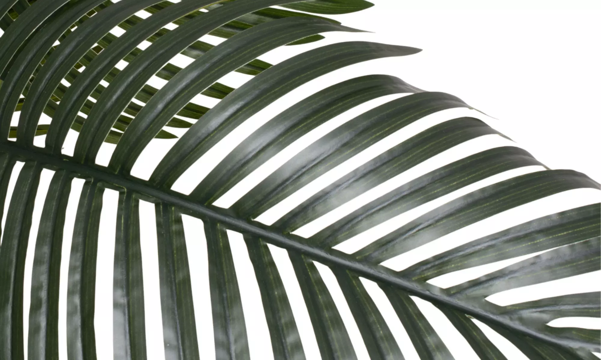 Plante tropicale artificielle avec pot