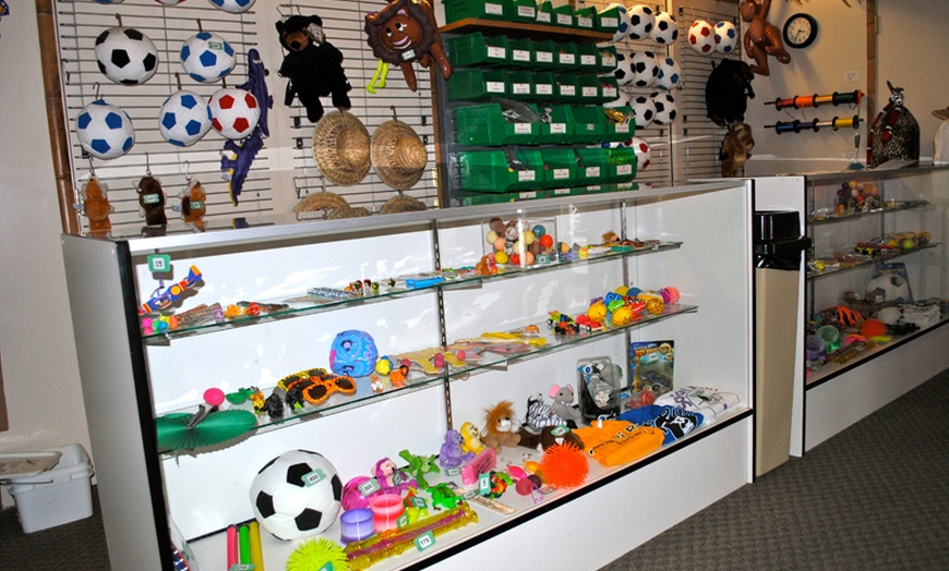 Image 3: Animal-Themed Jungle Gym: Book a Fun Open-Play Session for Your Kid